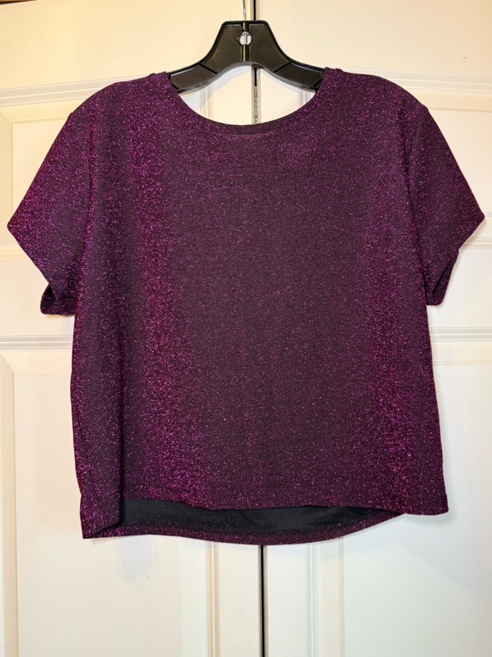Shimmery Metallic Pink Purple Short Sleeve Crop Top from Wild Fable